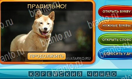 решебник на игру Собаки и кошки Уровень 72