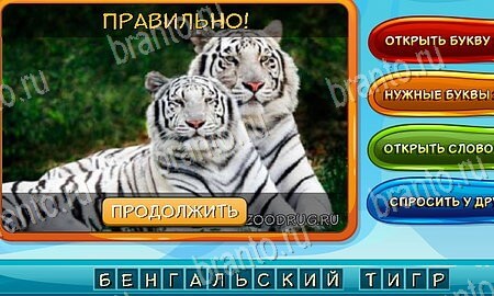 Собаки и кошки игра ответы ВК Уровень 74