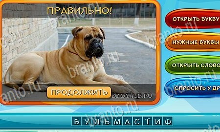 Собаки и кошки игра подсказки Уровень 75