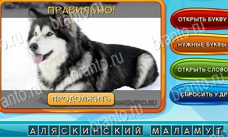 ответы на игру Собаки и кошки в одноклассниках Уровень 77