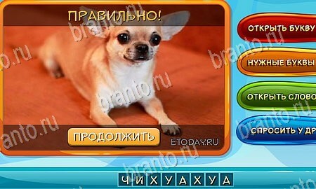 Подсказки на игру Собаки и кошки Эпизод 4 Уровень 78