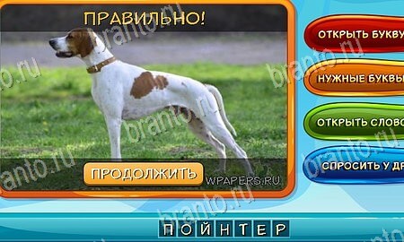 Решения на игру Собаки и кошки Эпизод 4 Уровень 79