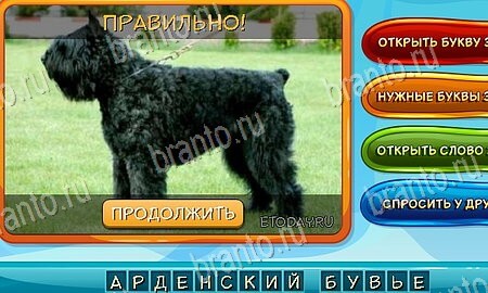 Помощь на игру ВК Собаки и кошки Уровень 80