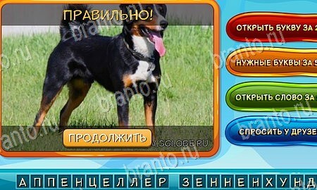 ответы к игре Собаки и кошки в контакте Уровень 81