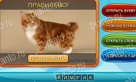 ответы на игру в одноклассниках Собаки и кошки Уровень 82