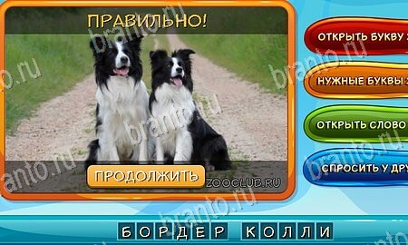 Одноклассники Собаки и кошки ответы Уровень 84