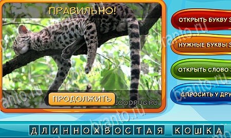 решебник на игру Собаки и кошки Уровень 87