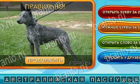 Собаки и кошки решения на игру из одноклассников Уровень 88