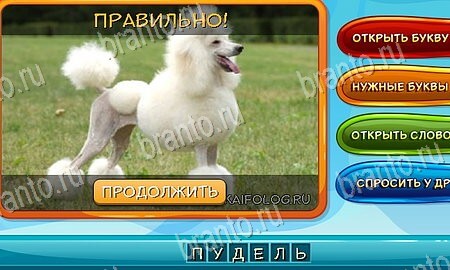 Собаки и кошки игра в контакте подсказки Уровень 90