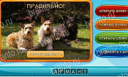 Собаки и кошки ответы в картинках в контакте Уровень 92