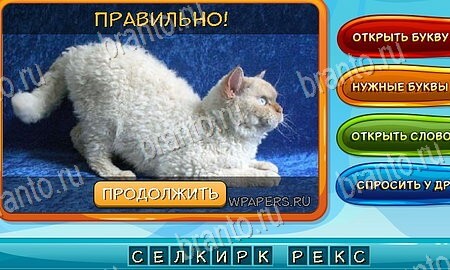 Игра Собаки и кошки подсказки вк Уровень 94