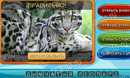 игра Собаки и кошки помощь одноклассники Уровень 95