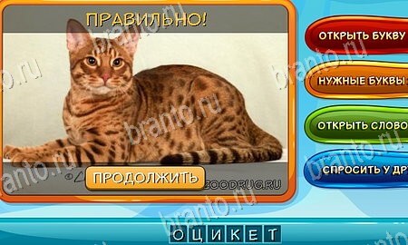 решебник на игру Собаки и кошки Уровень 97