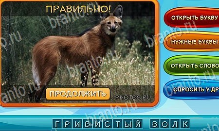 Собаки и кошки игра из одноклассников решения Уровень 98