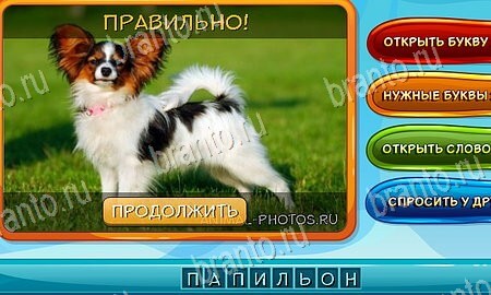 Подсказки на игру Собаки и кошки Эпизод 5 уровень 3