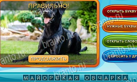 Решения на игру Собаки и кошки Эпизод 5 уровень 4