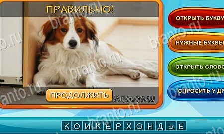 ответы на игру в одноклассниках Собаки и кошки Уровень 12