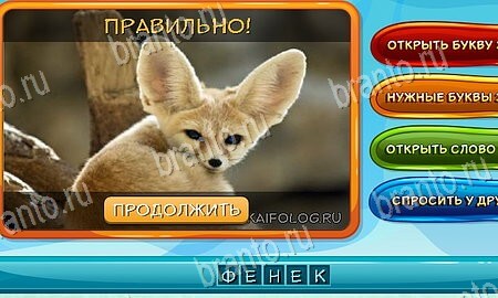 Собаки и кошки игра ответы в одноклассниках уровень 8