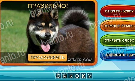 решебник на игру Собаки и кошки Уровень 112