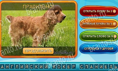 Собаки и кошки решения на игру из одноклассников Уровень 113