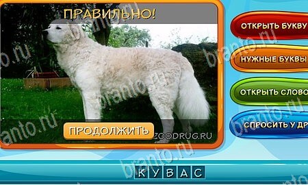 Собаки и кошки игра в контакте подсказки Уровень 115