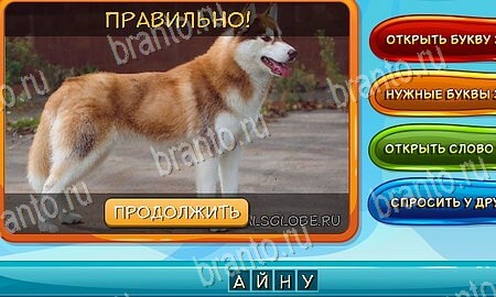 Собаки и кошки игра в одноклассниках помощь Уровень 116