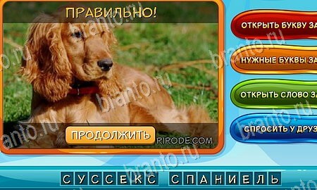 Игра Собаки и кошки ответы одноклассники, вк Уровень 118