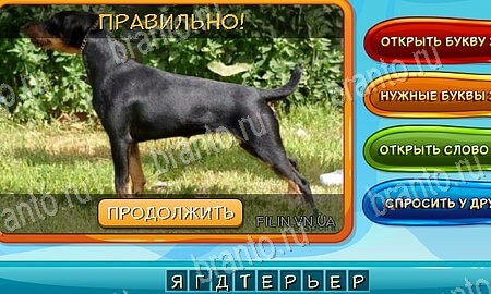 игра Собаки и кошки помощь одноклассники Уровень 120