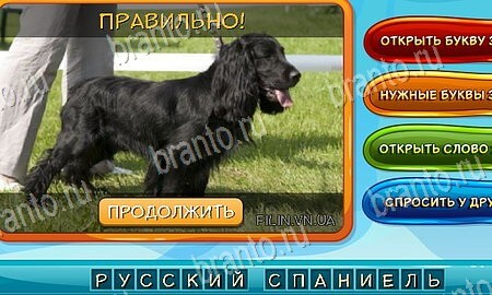 игра Собаки и кошки ответы в одноклассниках на Уровень 121