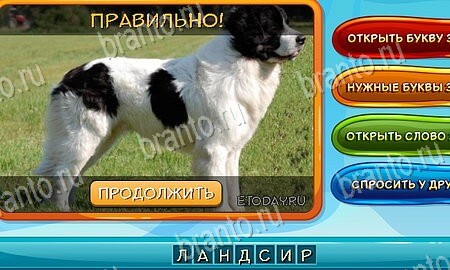 Собаки и кошки игра из одноклассников решения Уровень 123