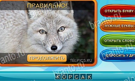 Собаки и кошки игра ответы ВК Уровень 124