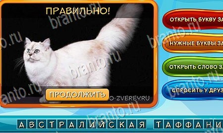 Собаки и кошки игра подсказки Уровень 125