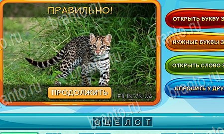 ответы на игру Собаки и кошки в одноклассниках Уровень 126