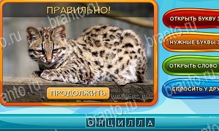 ответы на игру Собаки и кошки в одноклассниках Уровень 127