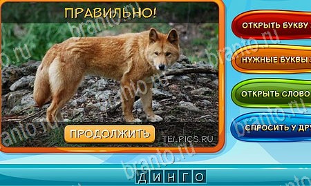 Решения на игру Собаки и кошки Эпизод 6 Уровень 129