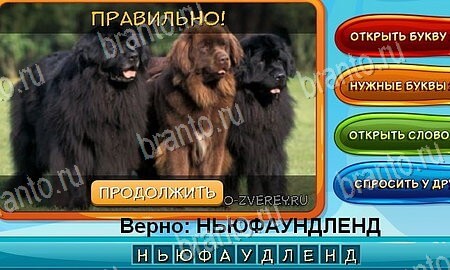 Помощь на игру ВК Собаки и кошки Уровень 130