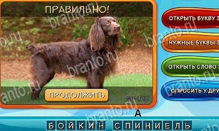 ответы к игре Собаки и кошки в контакте Уровень 131