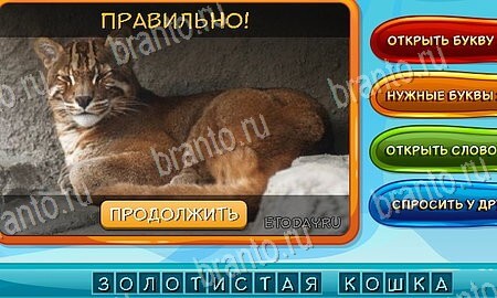 Собаки и кошки игра ответы на все задания Уровень 139