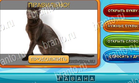 Собаки и кошки игра в контакте подсказки Уровень 140