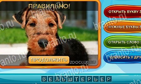 Собаки и кошки игра в одноклассниках помощь Уровень 141