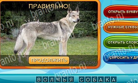 Игра Собаки и кошки ответы одноклассники, вк Уровень 143