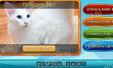 игра Собаки и кошки ответы в одноклассниках на Уровень 146