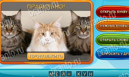 решебник на игру Собаки и кошки Уровень 147
