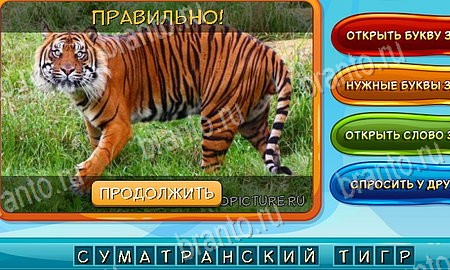 Собаки и кошки игра из одноклассников решения Уровень 148