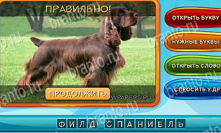 Собаки и кошки игра ответы ВК Уровень 149