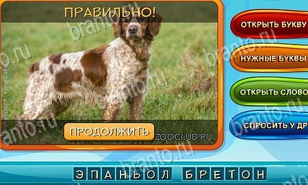 Помощь на игру ВК Собаки и кошки Уровень 15