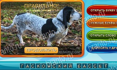 Одноклассники Собаки и кошки ответы уровень 9