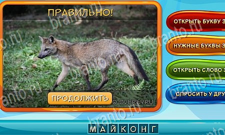 Собаки и кошки подсказки в контакте Уровень 160