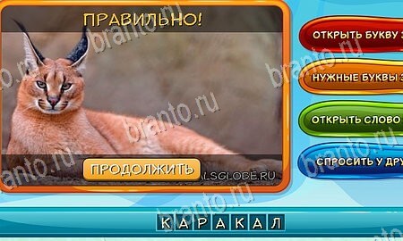 игра Собаки и кошки разгадки, ответ на Уровень 161