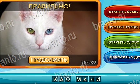Собаки и кошки решения на игру из одноклассников Уровень 163